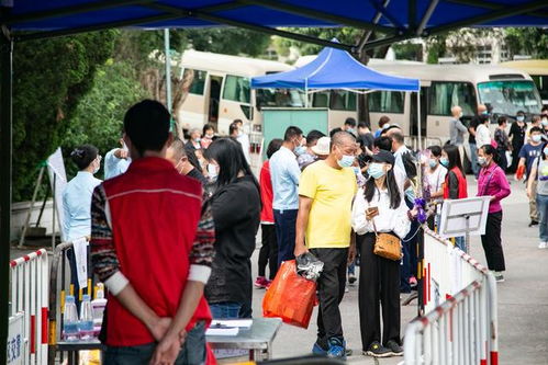 多图 中山重阳节祭扫现 小高峰 ,约500个家庭预约服务