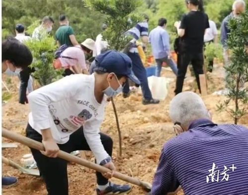 佛山今年清明祭扫需实名预约,3月23日系统上线